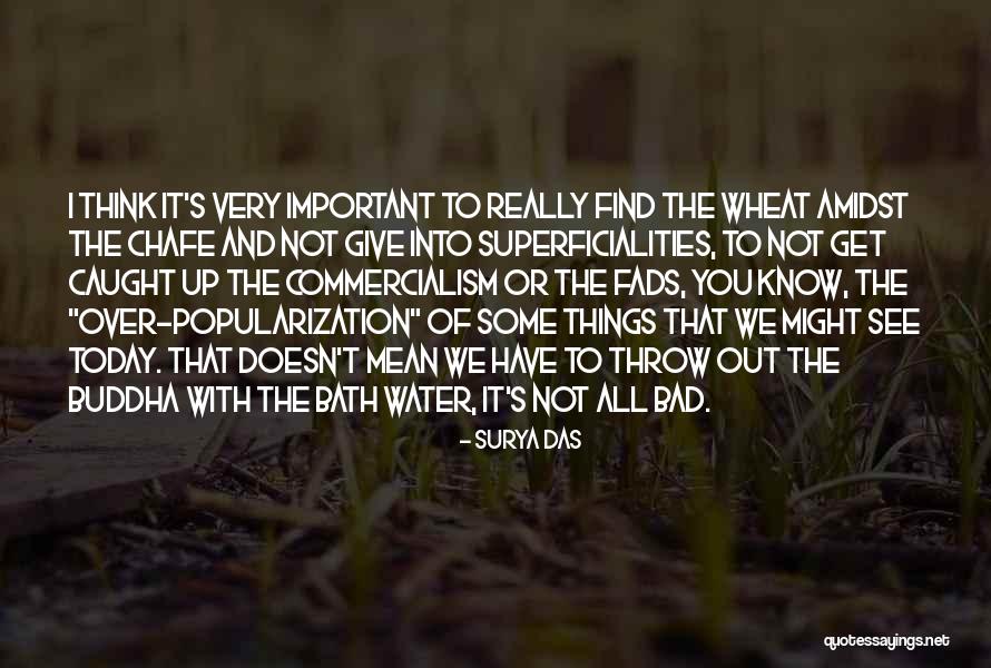 Haitink Last Concert Quotes By Surya Das Haitink Last Concert Quotes By Surya Das