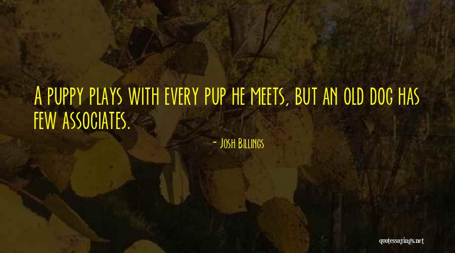 Hajdaraj Kavaje Quotes By Josh Billings Hajdaraj Kavaje Quotes By Josh Billings