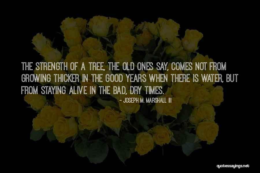 Hajnalka Vir G Quotes By Joseph M. Marshall III Hajnalka Vir G Quotes By Joseph M. Marshall III