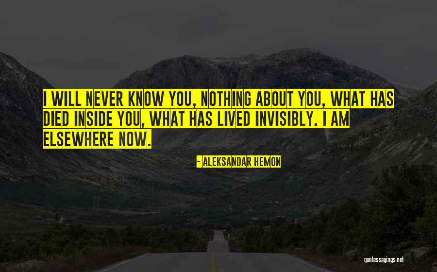 Hajosi Quotes By Aleksandar Hemon Hajosi Quotes By Aleksandar Hemon