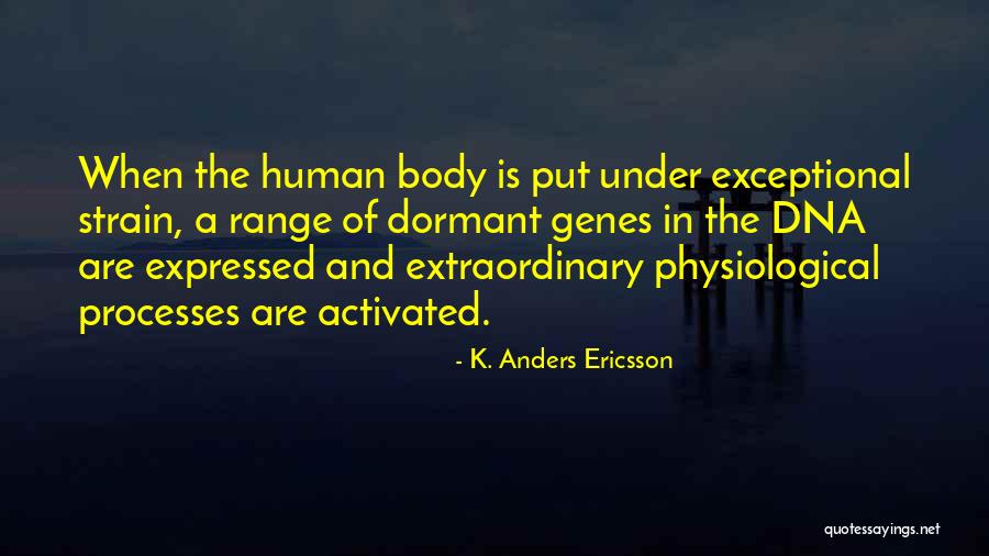 Hajrudin Mesic Hajro Quotes By K. Anders Ericsson Hajrudin Mesic Hajro Quotes By K. Anders Ericsson
