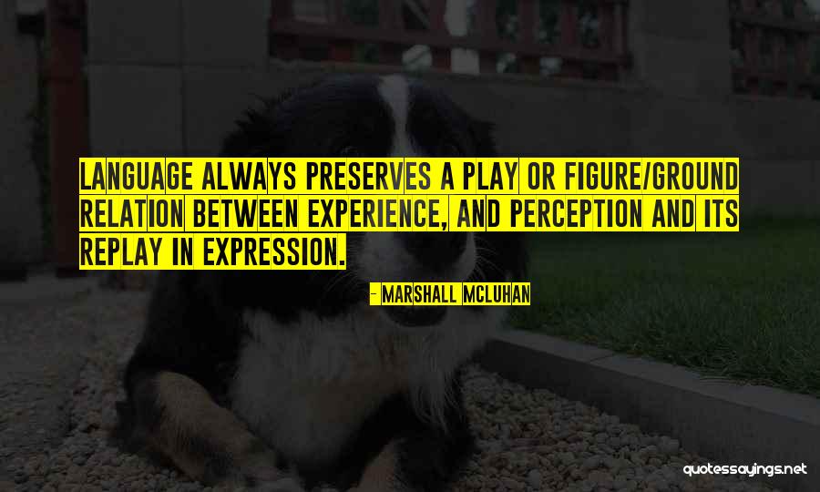 Hakes Gun Quotes By Marshall McLuhan Hakes Gun Quotes By Marshall McLuhan