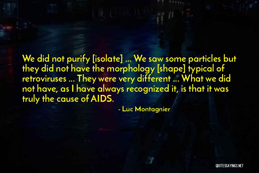 Hakikat Pembelajaran Quotes By Luc Montagnier Hakikat Pembelajaran Quotes By Luc Montagnier