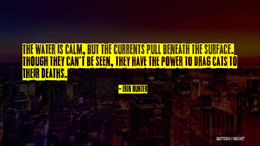 Hakudoushi Quotes By Erin Hunter Hakudoushi Quotes By Erin Hunter
