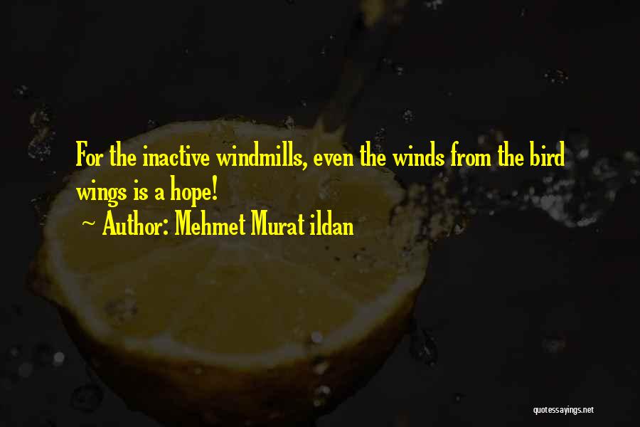 Hal 3000 Quotes By Mehmet Murat Ildan