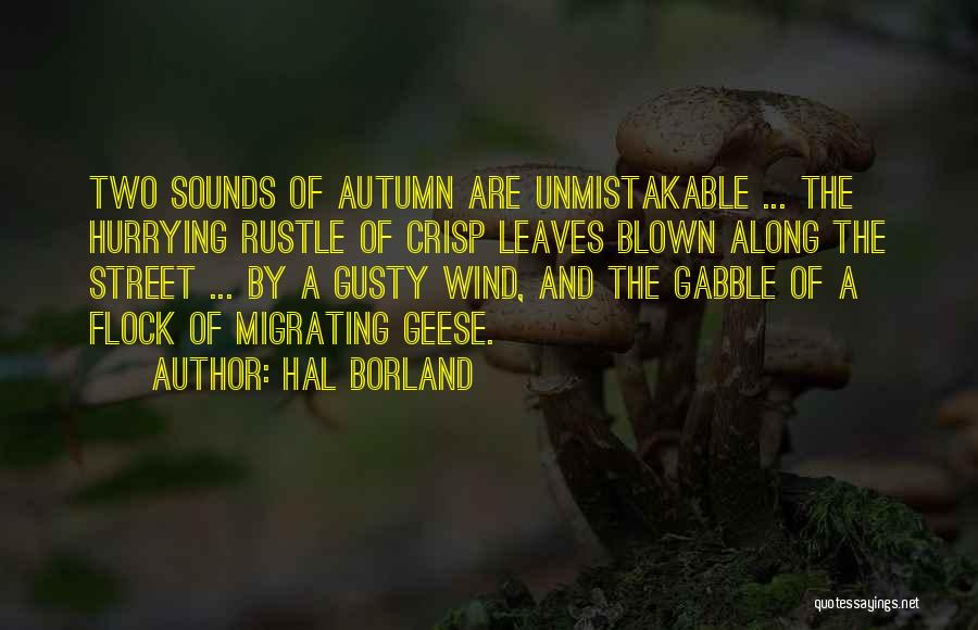 Hal Borland Quotes 143974