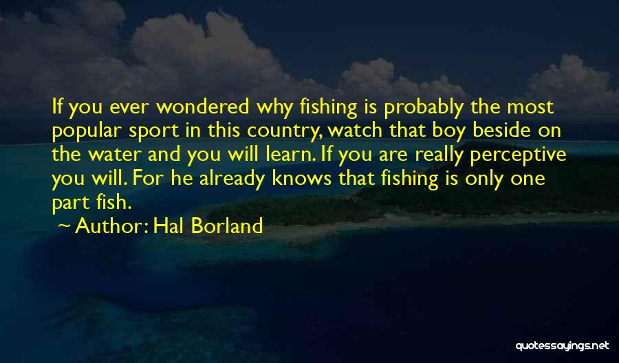 Hal Borland Quotes 1517930