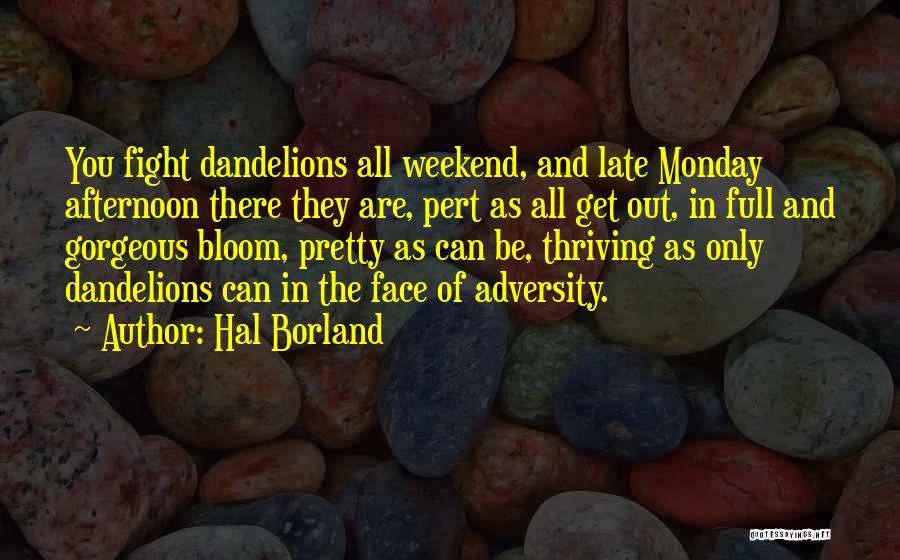 Hal Borland Quotes 1688978