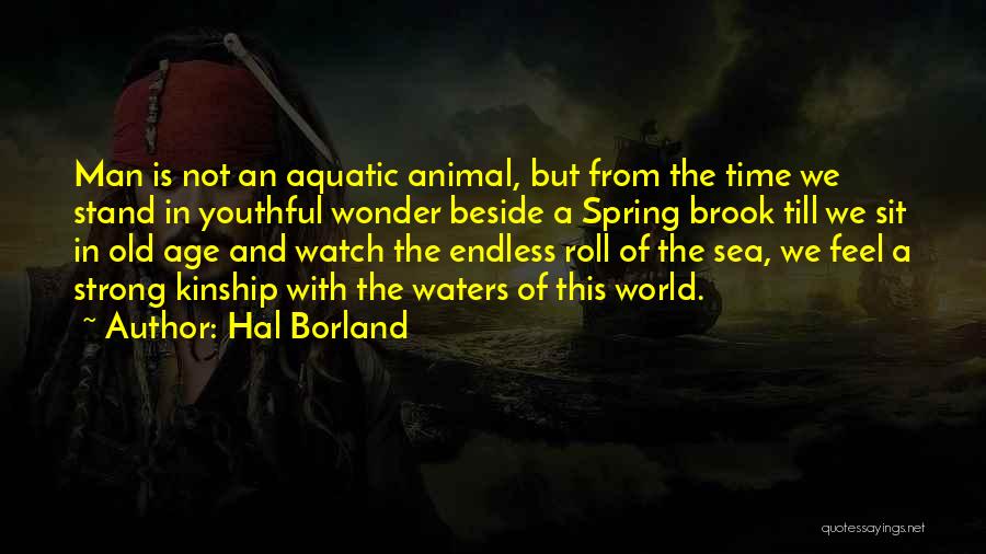 Hal Borland Quotes 513642