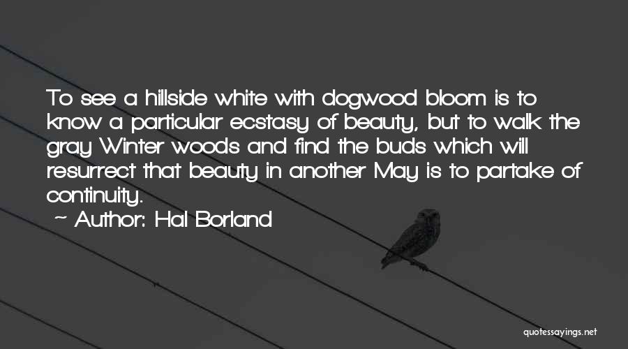 Hal Borland Quotes 647755
