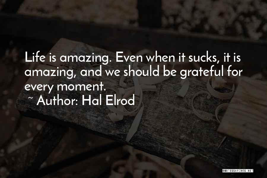 Hal Elrod Quotes 1205394