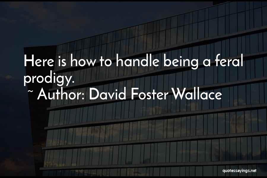 Hal Incandenza Quotes By David Foster Wallace