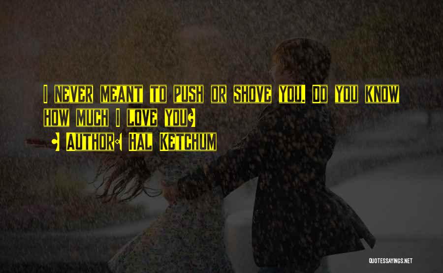 Hal Ketchum Quotes 1652884