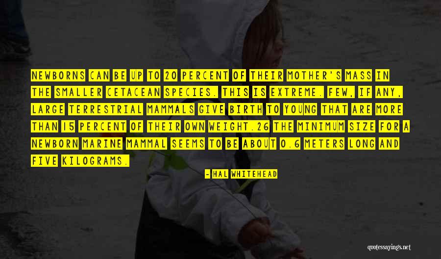 Hal Whitehead Quotes 610911 Hal Whitehead Quotes 610911