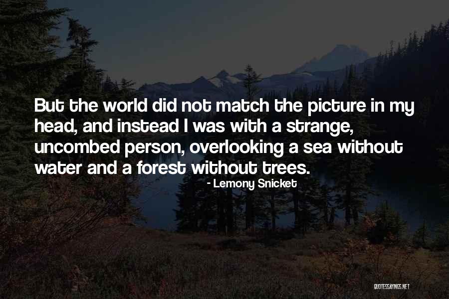 Halada Quotes By Lemony Snicket Halada Quotes By Lemony Snicket