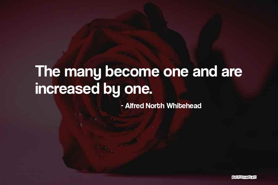 Halakha Food Quotes By Alfred North Whitehead Halakha Food Quotes By Alfred North Whitehead