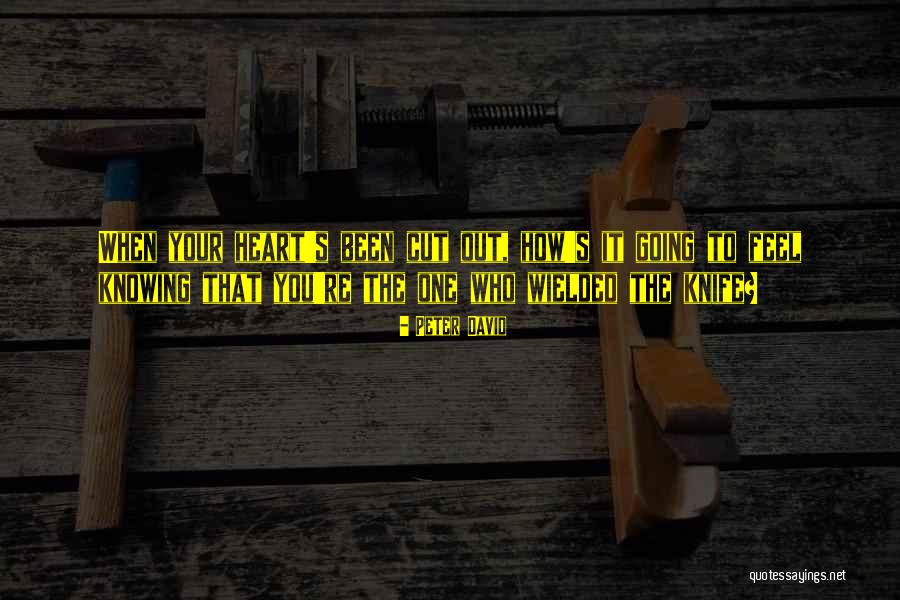 Halal Earning Quotes By Peter David Halal Earning Quotes By Peter David