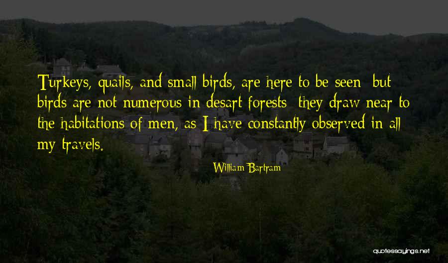 Halan Quotes By William Bartram Halan Quotes By William Bartram