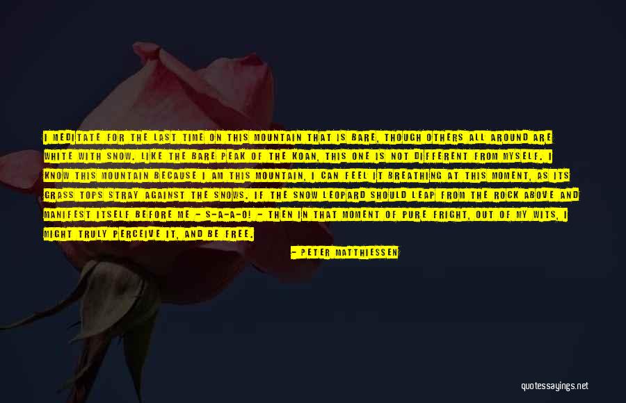 Halbwachs Collective Memory Quotes By Peter Matthiessen Halbwachs Collective Memory Quotes By Peter Matthiessen