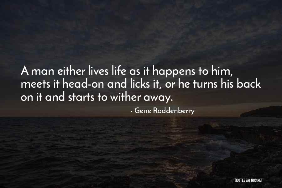Halcon Animal Quotes By Gene Roddenberry Halcon Animal Quotes By Gene Roddenberry