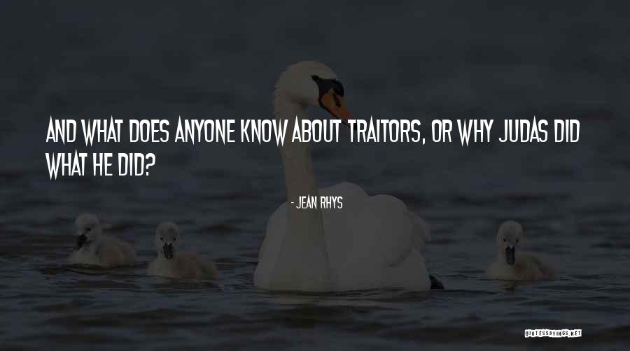 Halcon Animal Quotes By Jean Rhys Halcon Animal Quotes By Jean Rhys