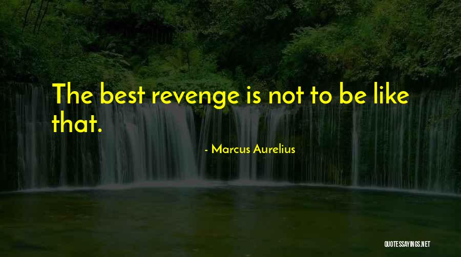 Haley Ann Auburn Quotes By Marcus Aurelius Haley Ann Auburn Quotes By Marcus Aurelius