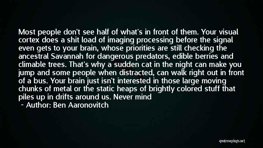 Half A Brain Quotes By Ben Aaronovitch