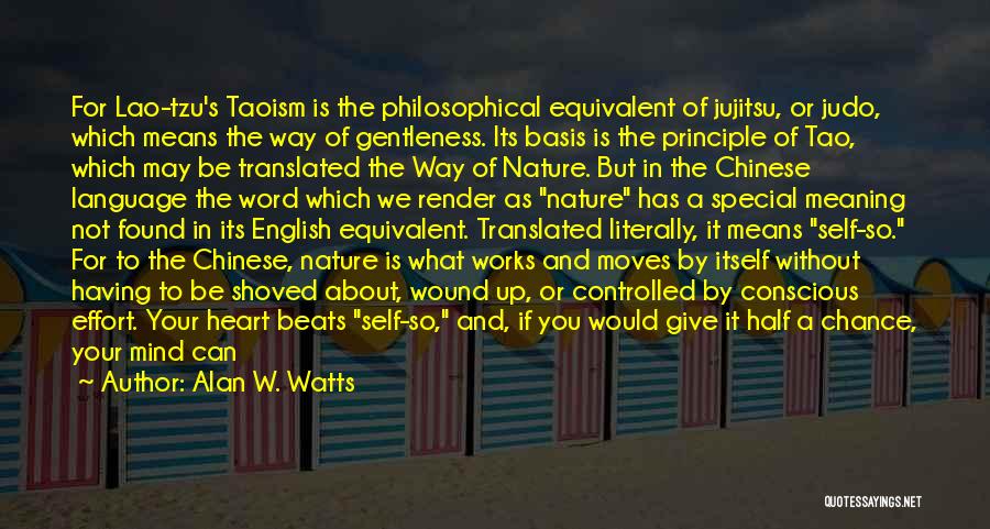Half A Chance Quotes By Alan W. Watts