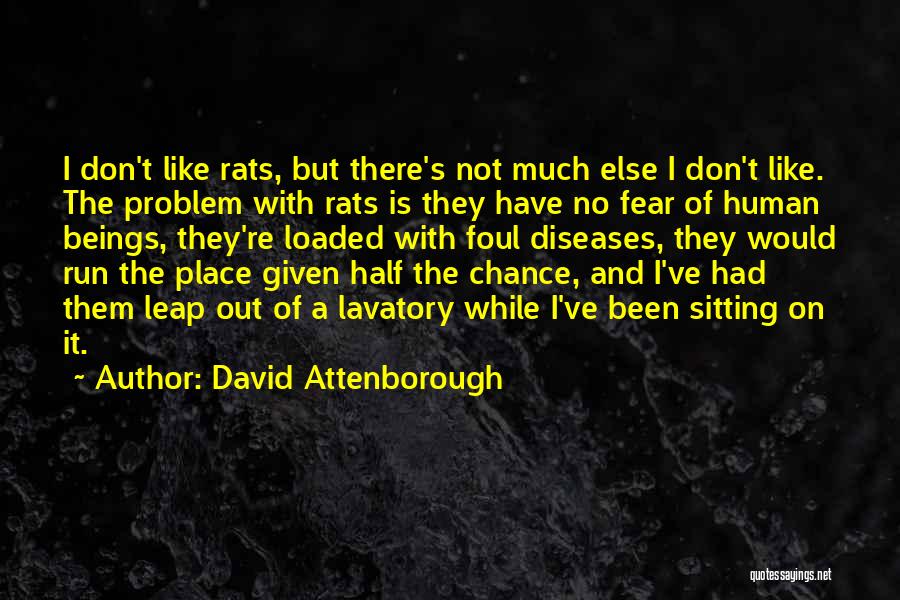 Half A Chance Quotes By David Attenborough