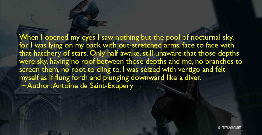 Half A Face Quotes By Antoine De Saint-Exupery