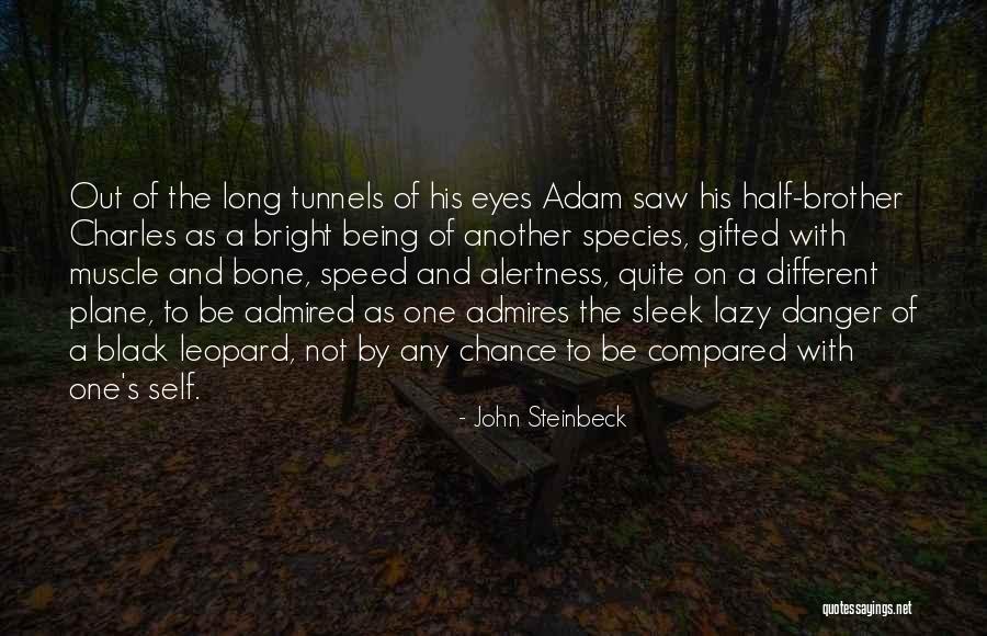 Half Brother Quotes By John Steinbeck Half Brother Quotes By John Steinbeck
