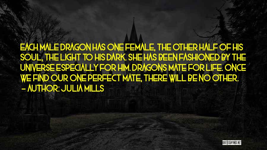 Half Dark Half Light Quotes By Julia Mills