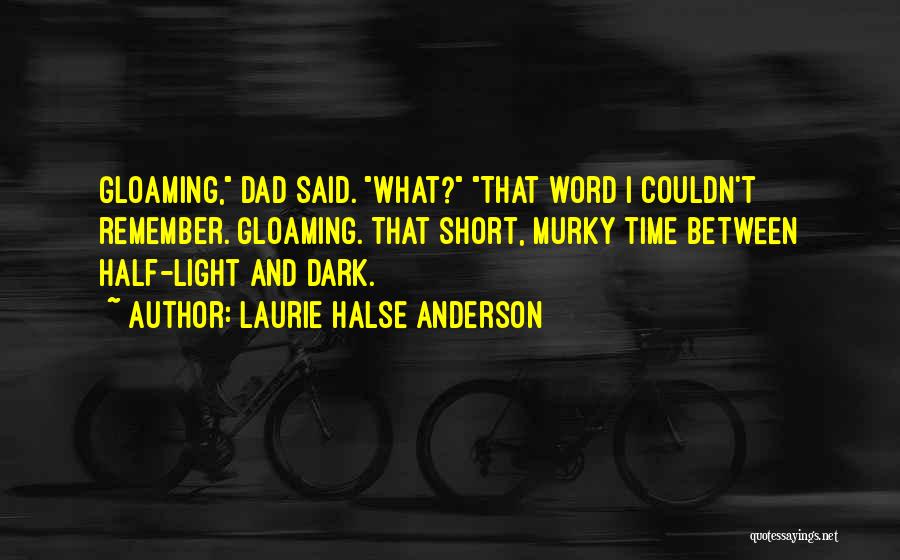 Half Dark Half Light Quotes By Laurie Halse Anderson