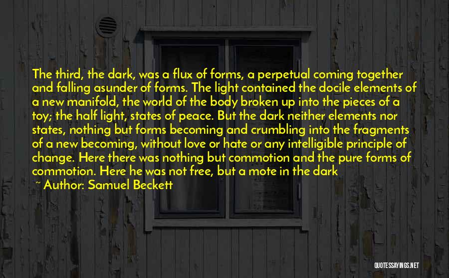 Half Dark Half Light Quotes By Samuel Beckett