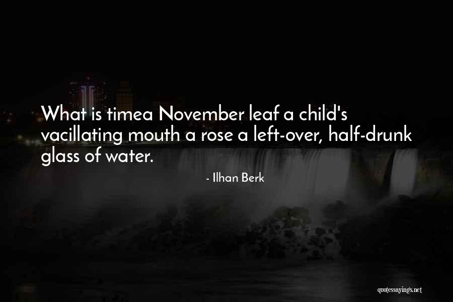Half Drunk Quotes By Ilhan Berk Half Drunk Quotes By Ilhan Berk