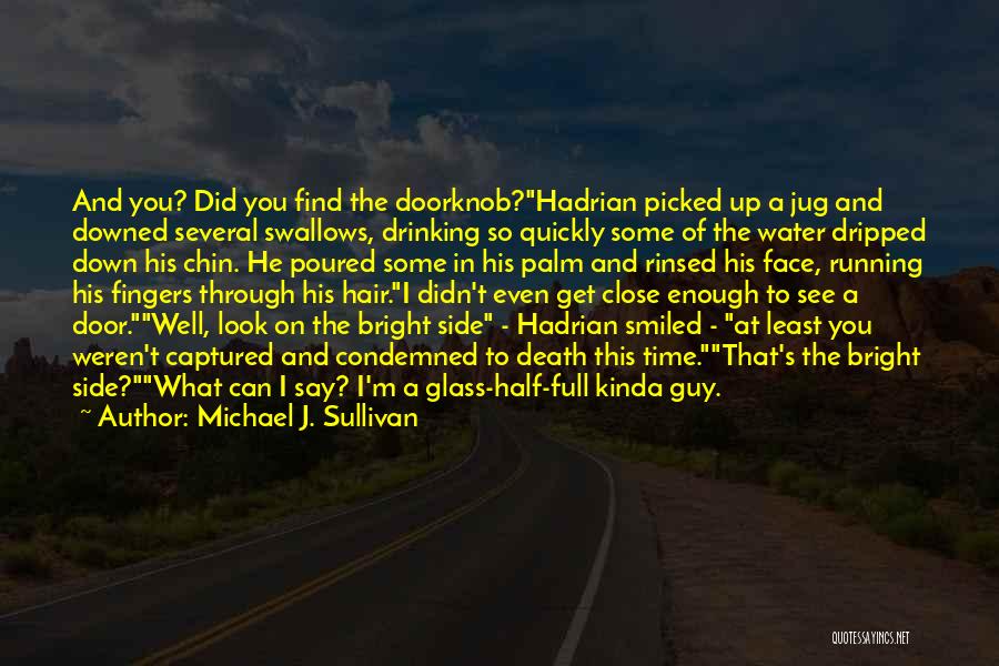 Half Full Glass Quotes By Michael J. Sullivan