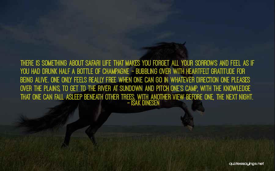 Half Knowledge Quotes By Isak Dinesen Half Knowledge Quotes By Isak Dinesen
