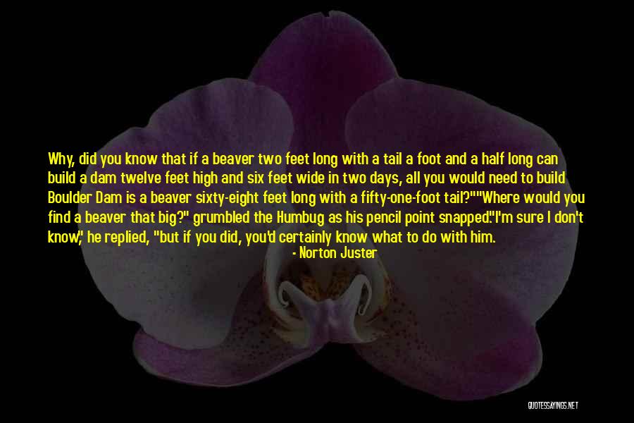 Half Tail Quotes By Norton Juster Half Tail Quotes By Norton Juster