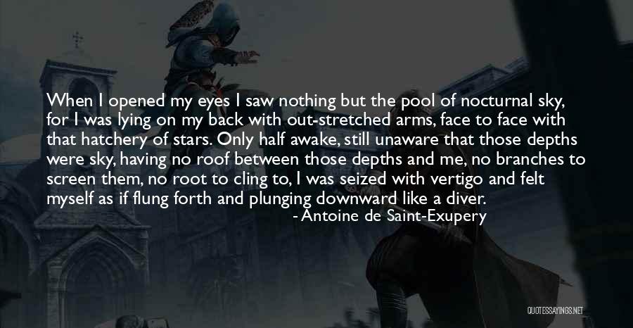 Half The Sky Quotes By Antoine De Saint-Exupery Half The Sky Quotes By Antoine De Saint-Exupery