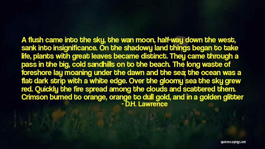 Half The Sky Quotes By D.H. Lawrence Half The Sky Quotes By D.H. Lawrence