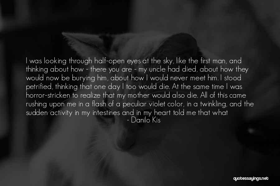 Half The Sky Quotes By Danilo Kis Half The Sky Quotes By Danilo Kis