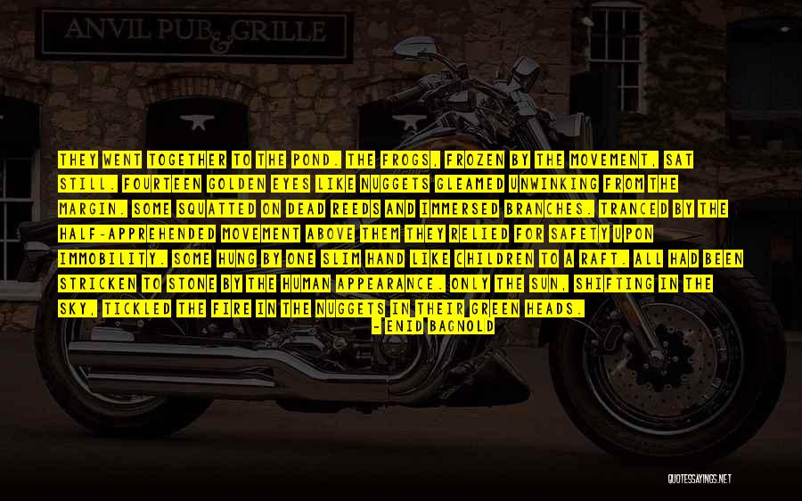 Half The Sky Quotes By Enid Bagnold Half The Sky Quotes By Enid Bagnold
