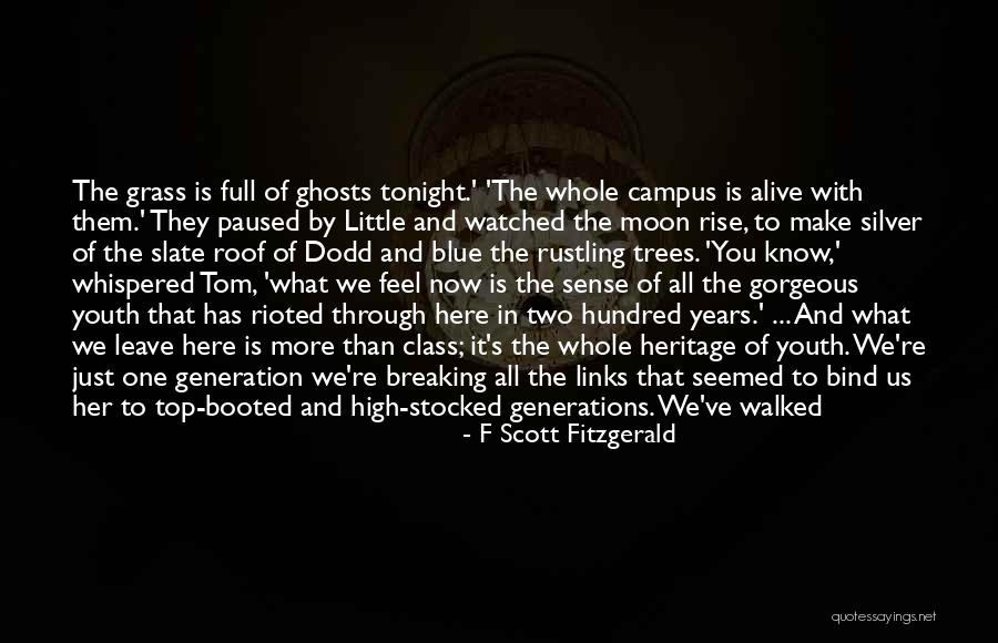 Half The Sky Quotes By F Scott Fitzgerald Half The Sky Quotes By F Scott Fitzgerald