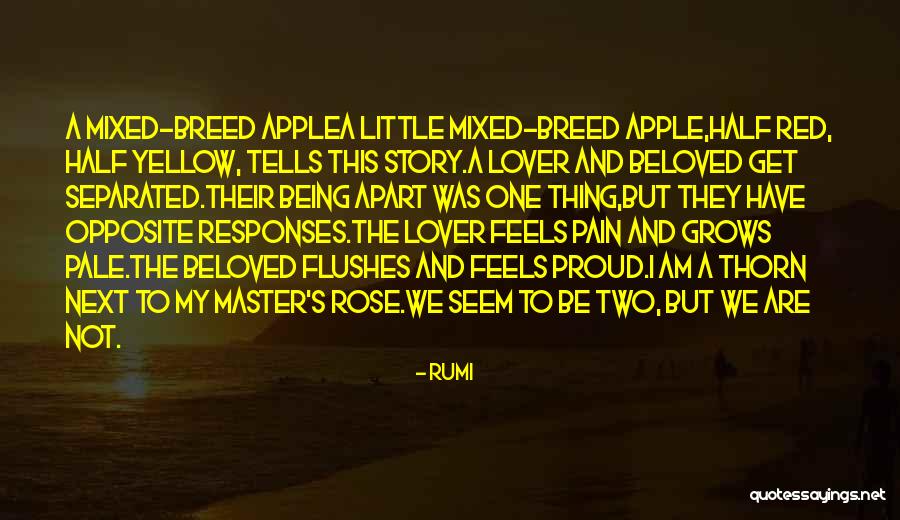 Half The Story Quotes By Rumi Half The Story Quotes By Rumi