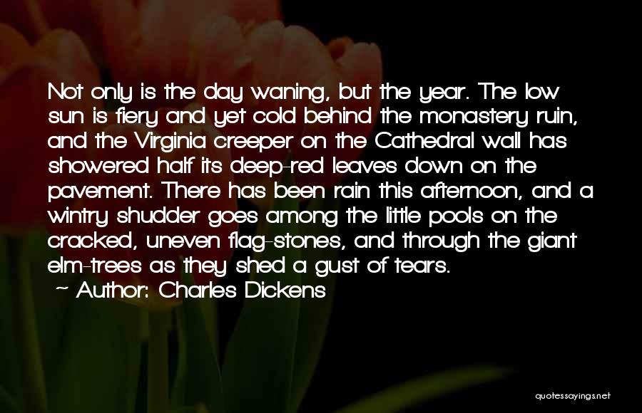 Half Way Through The Year Quotes By Charles Dickens