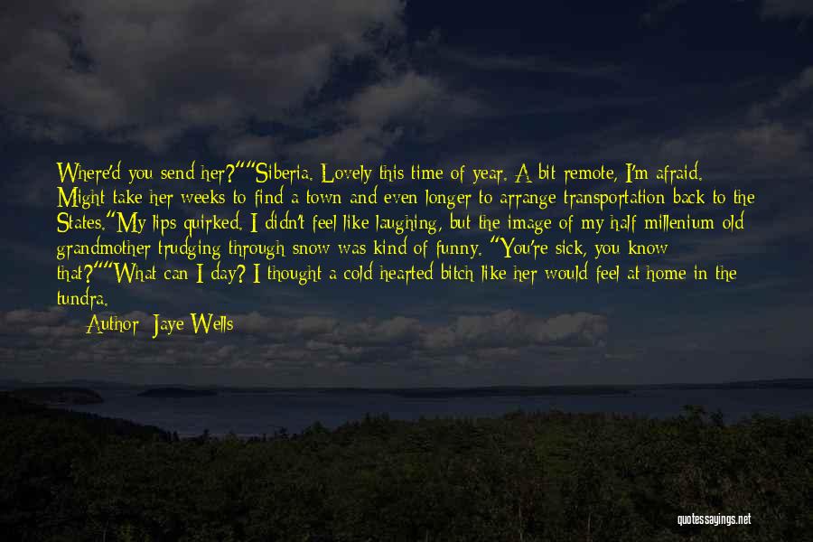 Half Way Through The Year Quotes By Jaye Wells