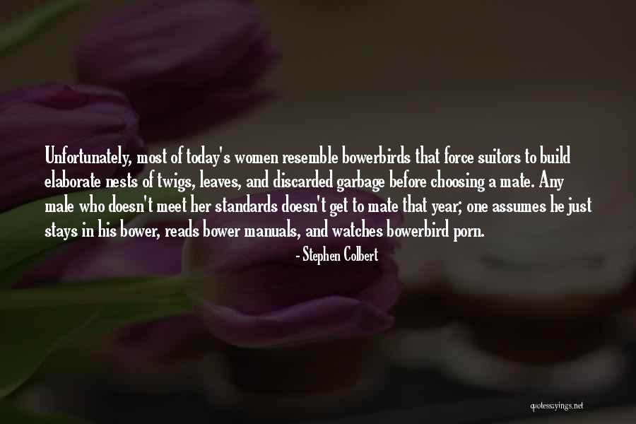 Halfway To The Grave Quotes By Stephen Colbert Halfway To The Grave Quotes By Stephen Colbert