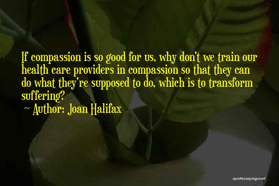 Halifax Quotes By Joan Halifax