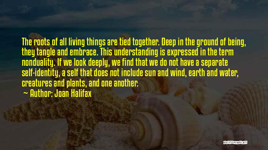 Halifax Quotes By Joan Halifax