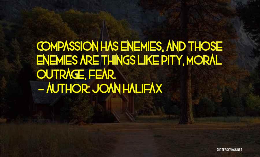 Halifax Quotes By Joan Halifax